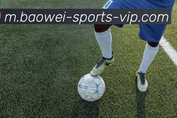 宝威体育APP 封面图